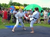 concentration-levels-are-high-during-the-karate-demo-a-great-sport-to-take-up