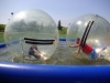 even-the-big-children-had-a-go-in-the-water-balls