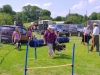 lots-of-dogs-checking-out-the-agility-race-track