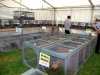 poultry-tent-set-up