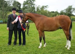 Supreme Pony Goldengrove Alabay owned by Cherie Devanney with Judge Tony Ennis.